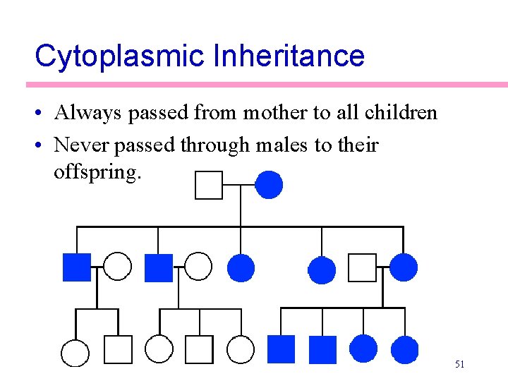 Cytoplasmic Inheritance • Always passed from mother to all children • Never passed through