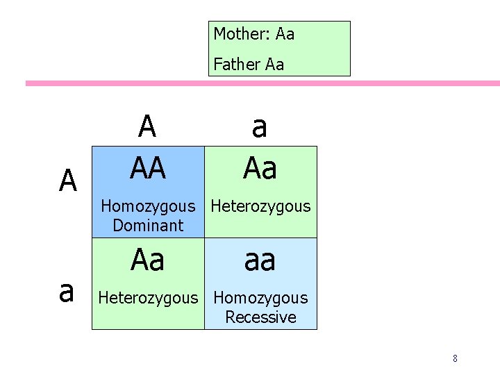 Mother: Aa Father Aa A AA a Aa Homozygous Heterozygous Dominant Aa aa Heterozygous