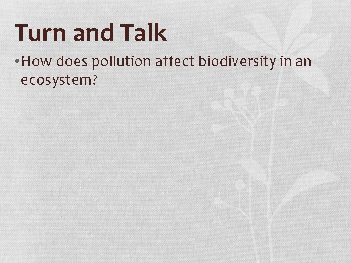 Turn and Talk • How does pollution affect biodiversity in an ecosystem? 