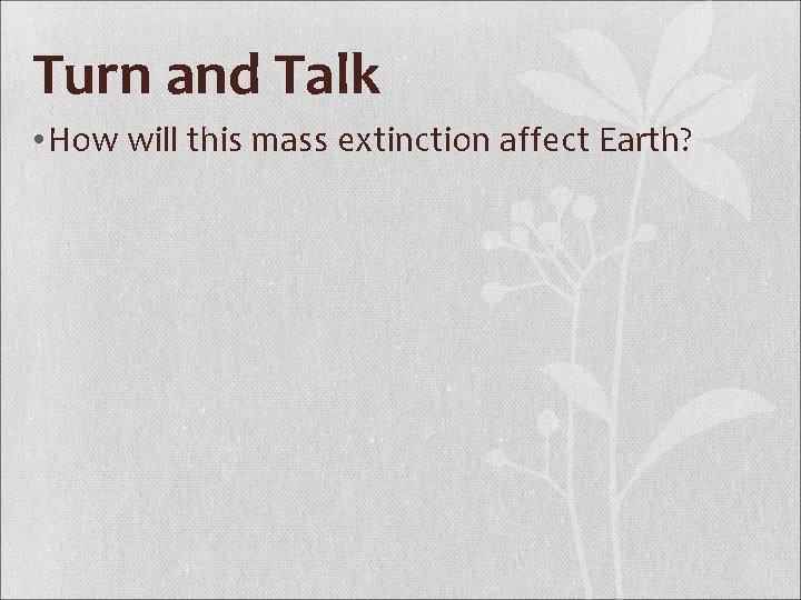 Turn and Talk • How will this mass extinction affect Earth? 