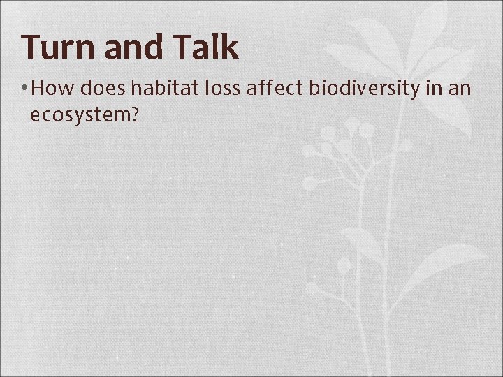 Turn and Talk • How does habitat loss affect biodiversity in an ecosystem? 