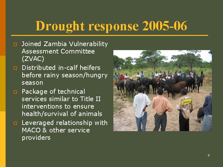 Drought response 2005 -06 p p Joined Zambia Vulnerability Assessment Committee (ZVAC) Distributed in-calf