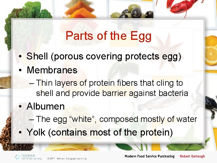 Parts of the Egg • Shell (porous covering protects egg) • Membranes – Thin