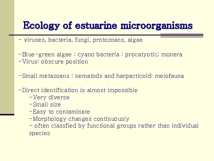 Ecology of estuarine microorganisms - viruses, bacteria, fungi, protozoans, algae -Blue-green algae : cyano