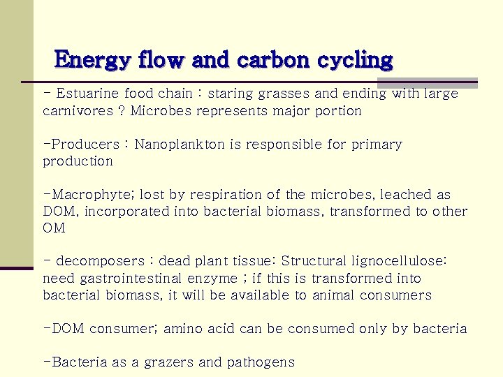 Energy flow and carbon cycling - Estuarine food chain : staring grasses and ending