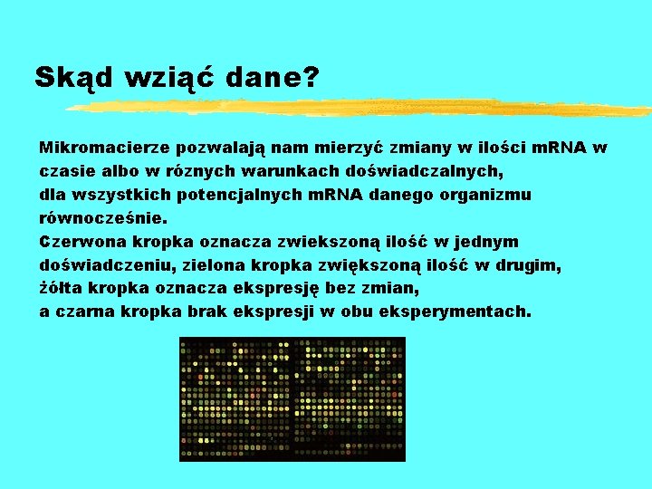 Skąd wziąć dane? Mikromacierze pozwalają nam mierzyć zmiany w ilości m. RNA w czasie