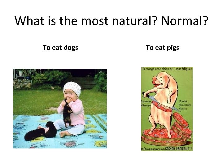 What is the most natural? Normal? To eat dogs To eat pigs 