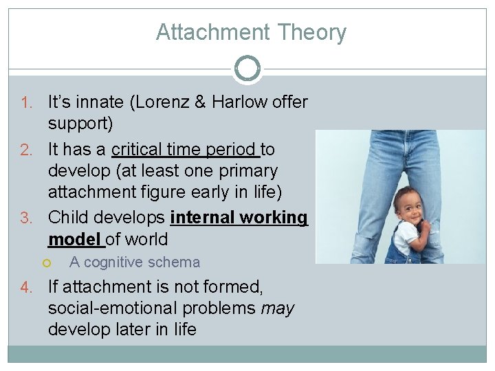 Attachment Theory 1. It’s innate (Lorenz & Harlow offer support) 2. It has a