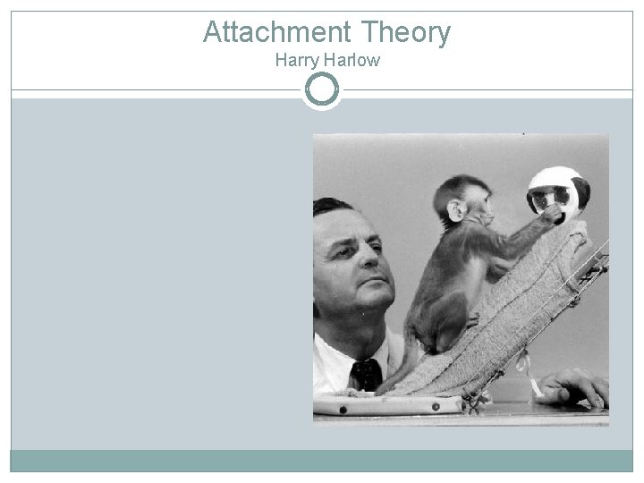 Attachment Theory Harlow 