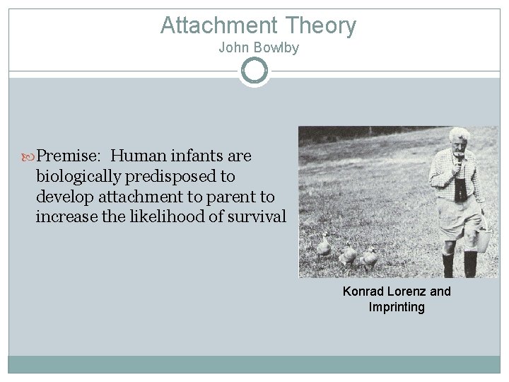 Attachment Theory John Bowlby Premise: Human infants are biologically predisposed to develop attachment to