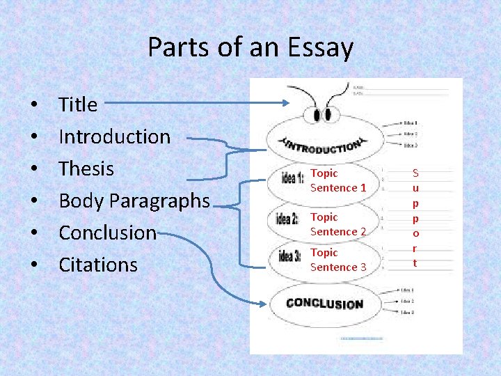 Parts of an Essay • • • Title Introduction Thesis Body Paragraphs Conclusion Citations