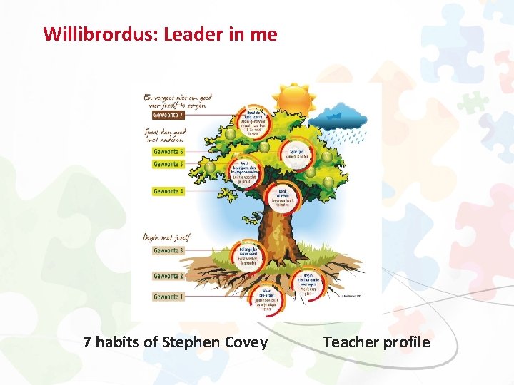 Willibrordus: Leader in me 7 habits of Stephen Covey Teacher profile 