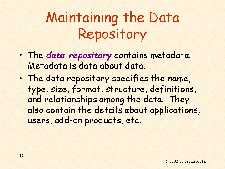 Maintaining the Data Repository • The data repository contains metadata. Metadata is data about