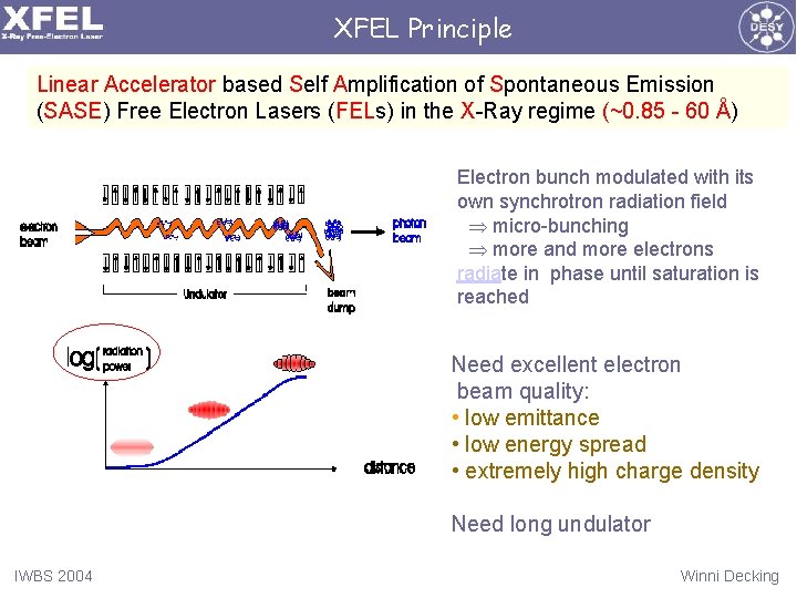 XFEL Principle Linear Accelerator based Self Amplification of Spontaneous Emission (SASE) Free Electron Lasers