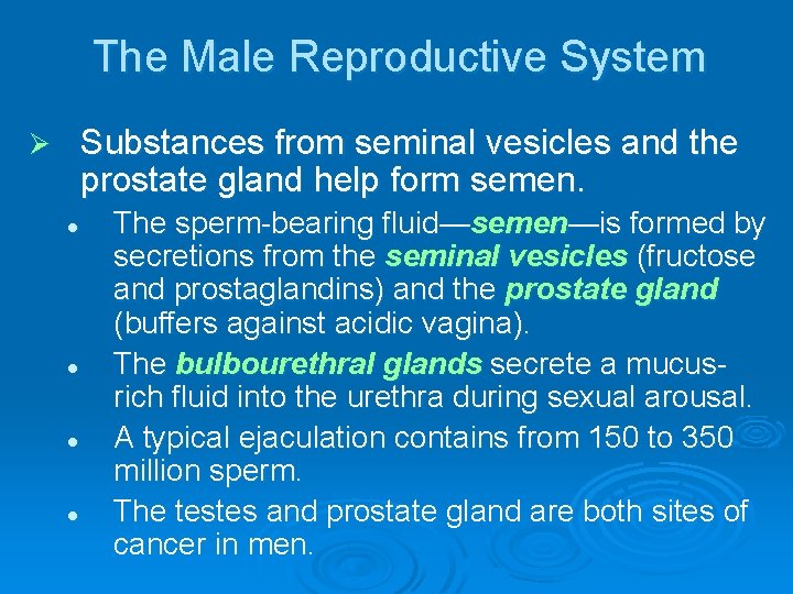 The Male Reproductive System Substances from seminal vesicles and the prostate gland help form