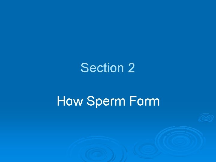 Section 2 How Sperm Form 