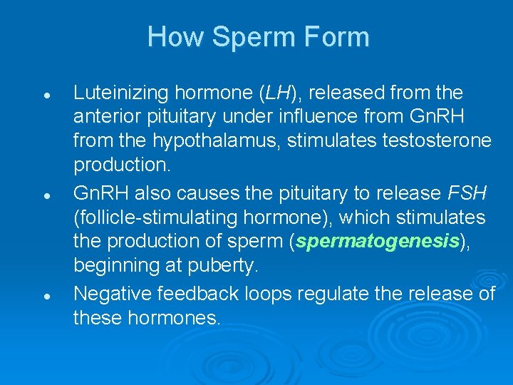 How Sperm Form l l l Luteinizing hormone (LH), released from the anterior pituitary