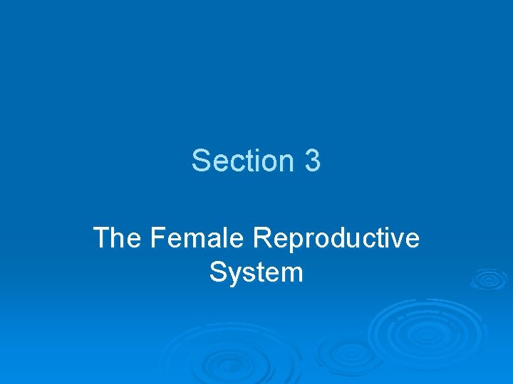 Section 3 The Female Reproductive System 