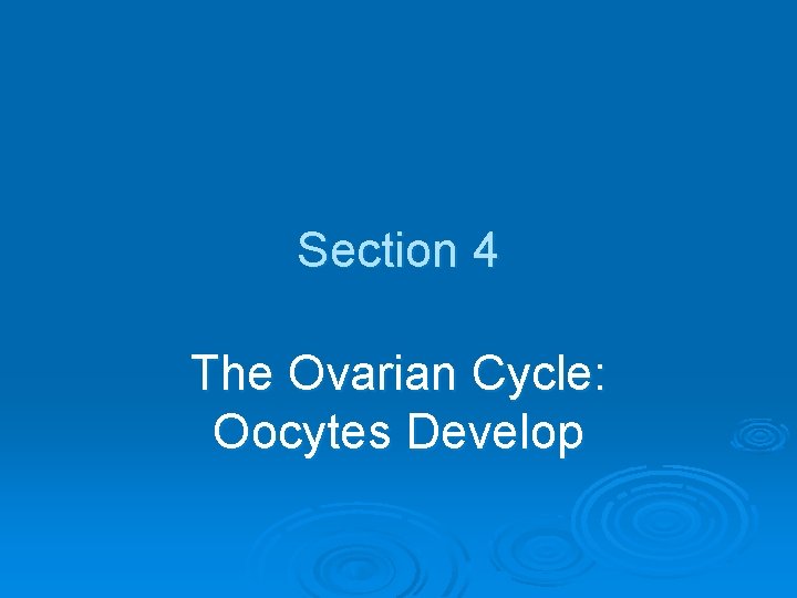 Section 4 The Ovarian Cycle: Oocytes Develop 