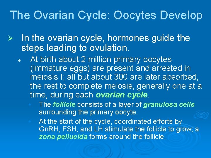 The Ovarian Cycle: Oocytes Develop In the ovarian cycle, hormones guide the steps leading