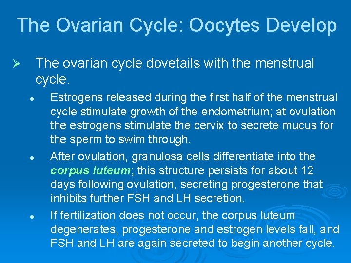 The Ovarian Cycle: Oocytes Develop The ovarian cycle dovetails with the menstrual cycle. Ø