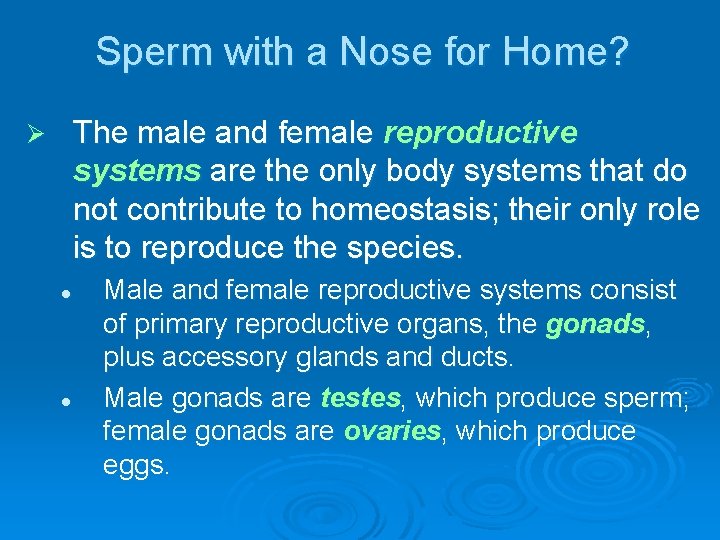 Sperm with a Nose for Home? The male and female reproductive systems are the