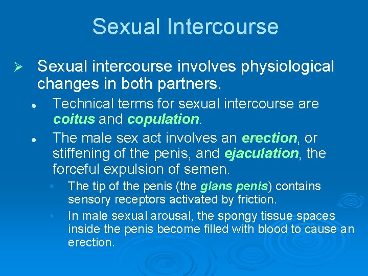 Sexual Intercourse Sexual intercourse involves physiological changes in both partners. Ø l l Technical