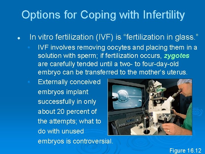 Options for Coping with Infertility l In vitro fertilization (IVF) is “fertilization in glass.