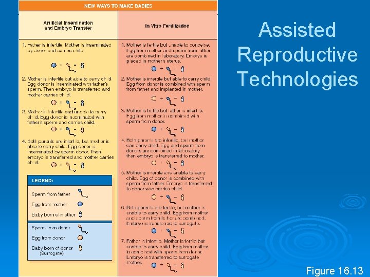 Assisted Reproductive Technologies Figure 16. 13 