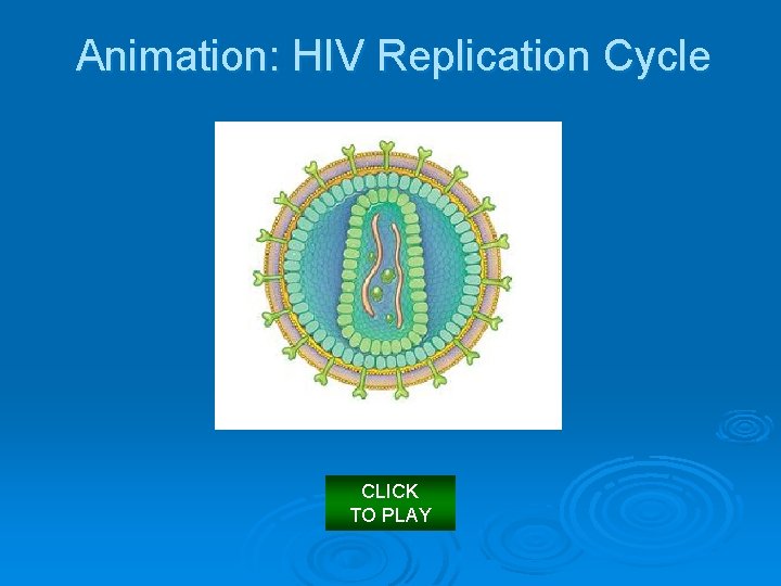 Animation: HIV Replication Cycle CLICK TO PLAY 