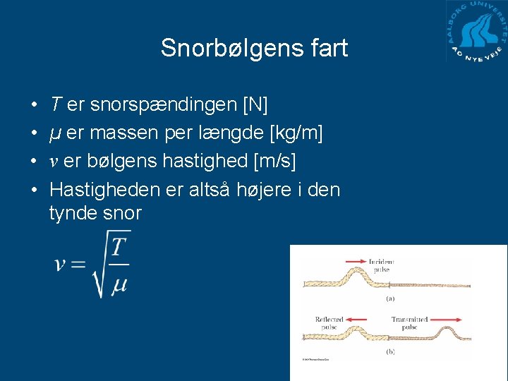 Snorbølgens fart • • T er snorspændingen [N] µ er massen per længde [kg/m]