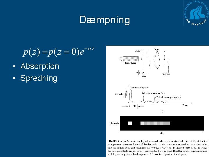 Dæmpning • Absorption • Spredning 