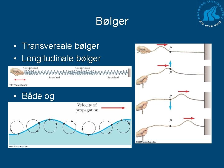 Bølger • Transversale bølger • Longitudinale bølger • Både og 