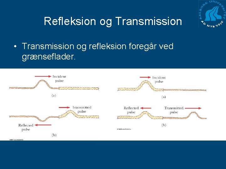 Refleksion og Transmission • Transmission og refleksion foregår ved grænseflader. 