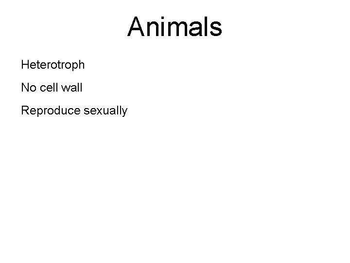 Animals Heterotroph No cell wall Reproduce sexually 