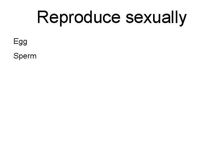 Reproduce sexually Egg Sperm 