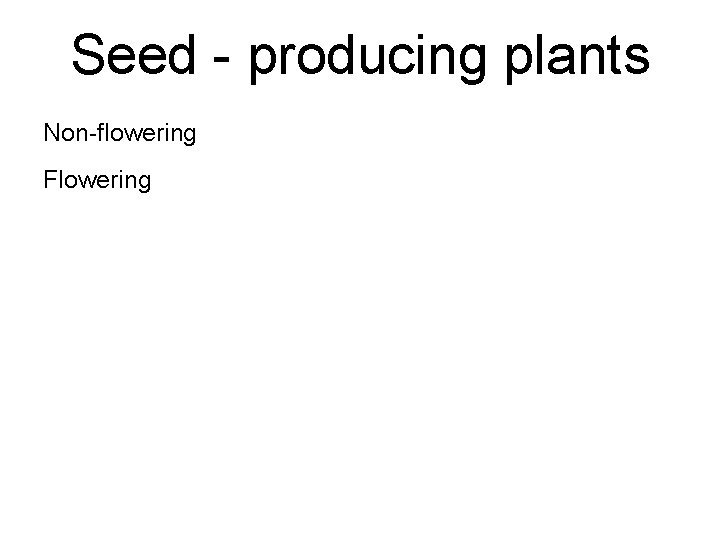Seed - producing plants Non-flowering Flowering 