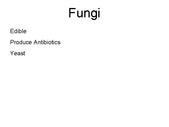 Fungi Edible Produce Antibiotics Yeast 