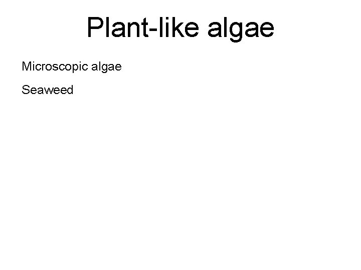 Plant-like algae Microscopic algae Seaweed 