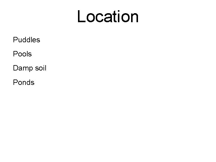 Location Puddles Pools Damp soil Ponds 