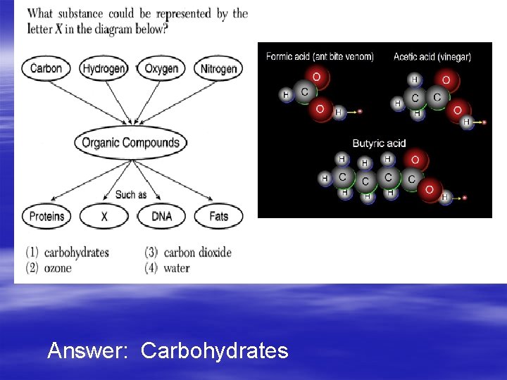 Answer: Carbohydrates 