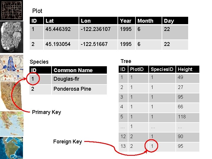 Plot ID Lat Lon Year Month Day 1 45. 446392 -122. 236107 1995 6