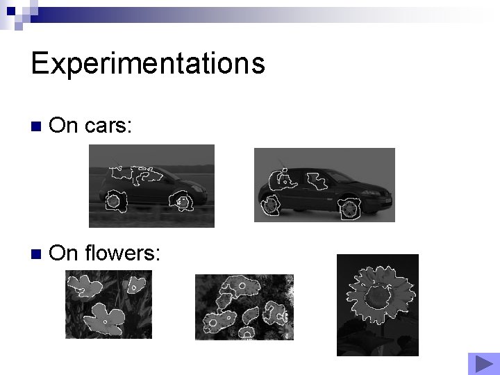 Experimentations n On cars: n On flowers: Experimentations n On cars: n On flowers: