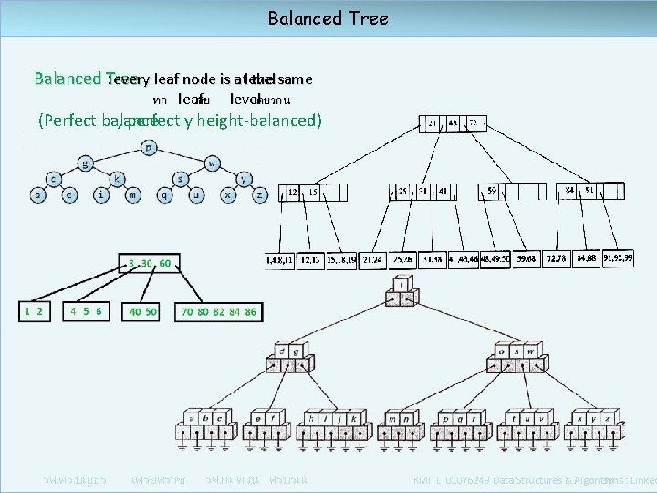 Balanced Tree : every leaf node is at the same level ทก leaf อย