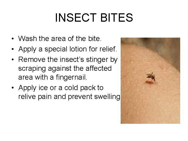 INSECT BITES • Wash the area of the bite. • Apply a special lotion
