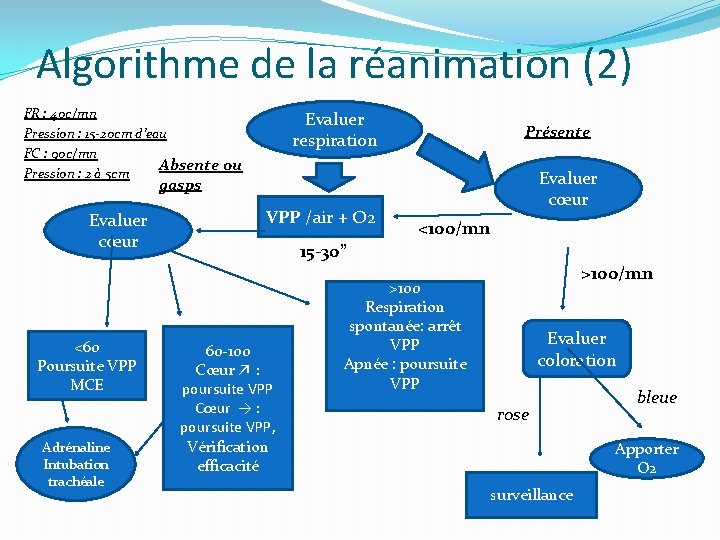 Algorithme de la réanimation (2) FR : 40 c/mn Pression : 15 -20 cm