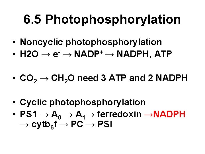 6. 5 Photophosphorylation • Noncyclic photophosphorylation • H 2 O → e- → NADP+