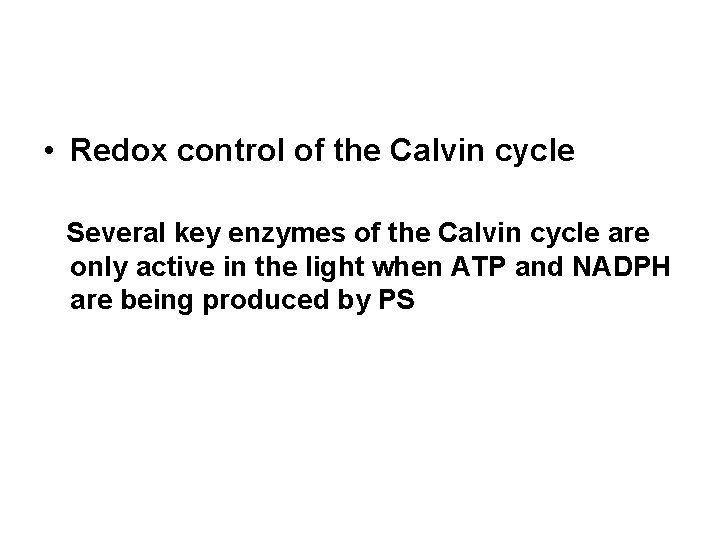  • Redox control of the Calvin cycle Several key enzymes of the Calvin