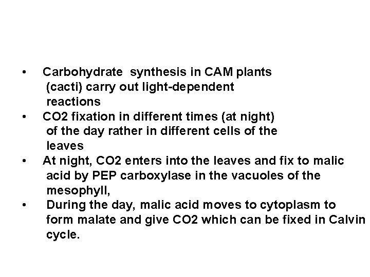 • • Carbohydrate synthesis in CAM plants (cacti) carry out light-dependent reactions CO