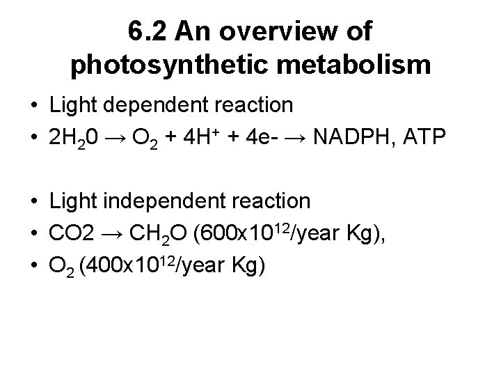 6. 2 An overview of photosynthetic metabolism • Light dependent reaction • 2 H